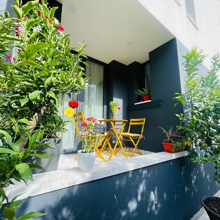 Apartment Sweet